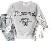 Pet Varsity Sweatshirt｜Custom Embroidered Pet Sweatshirt｜College Pet Hoodie