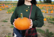 Pumpkin Embroidered Sweatshirt