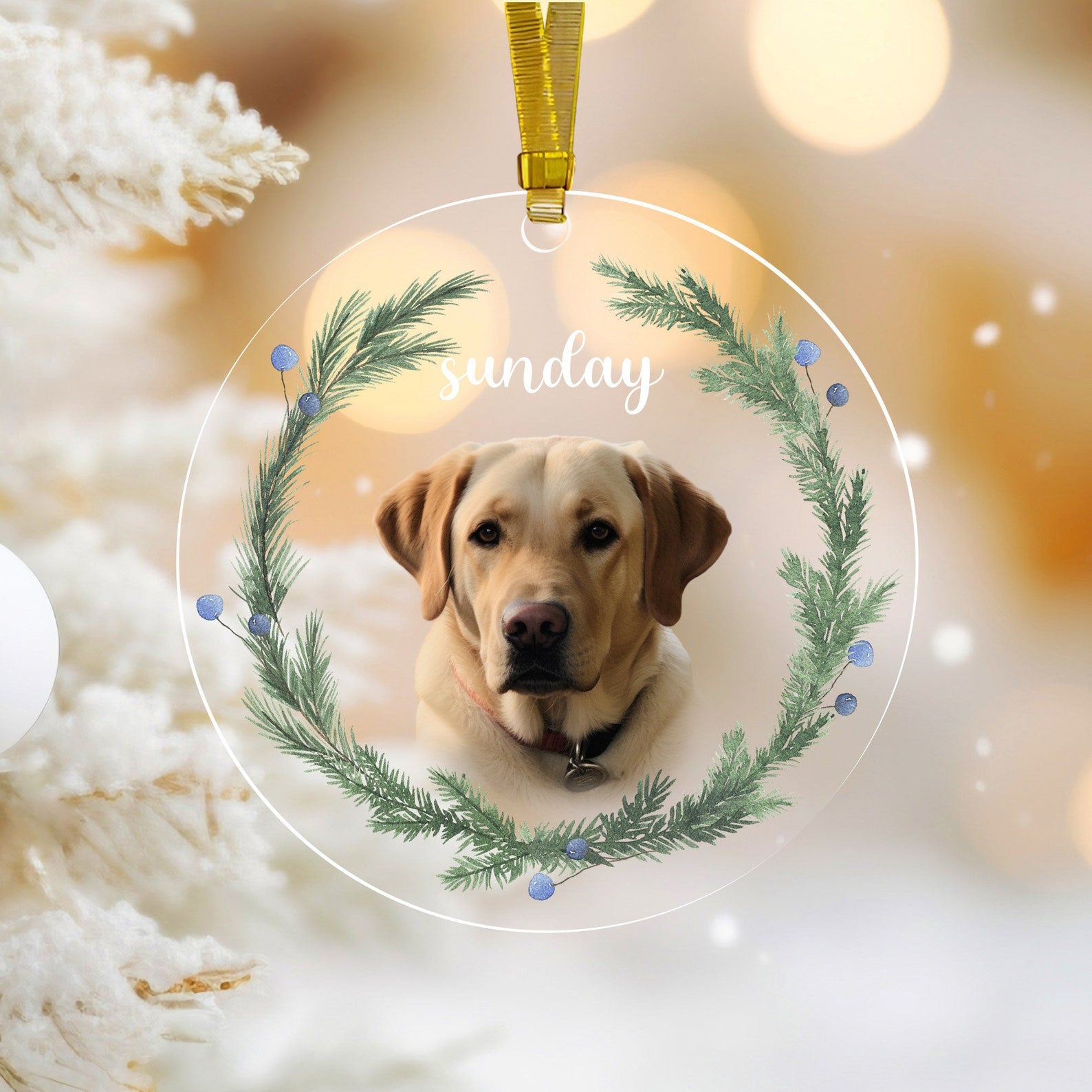 Personalized Pet Ornament