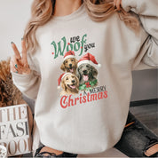 Merry christmas sweater |christmas dog sweater