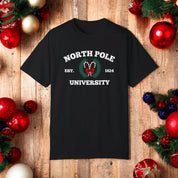 North Pole University Sweatshirt | Christmas sweater | Christmas School sweatshirt