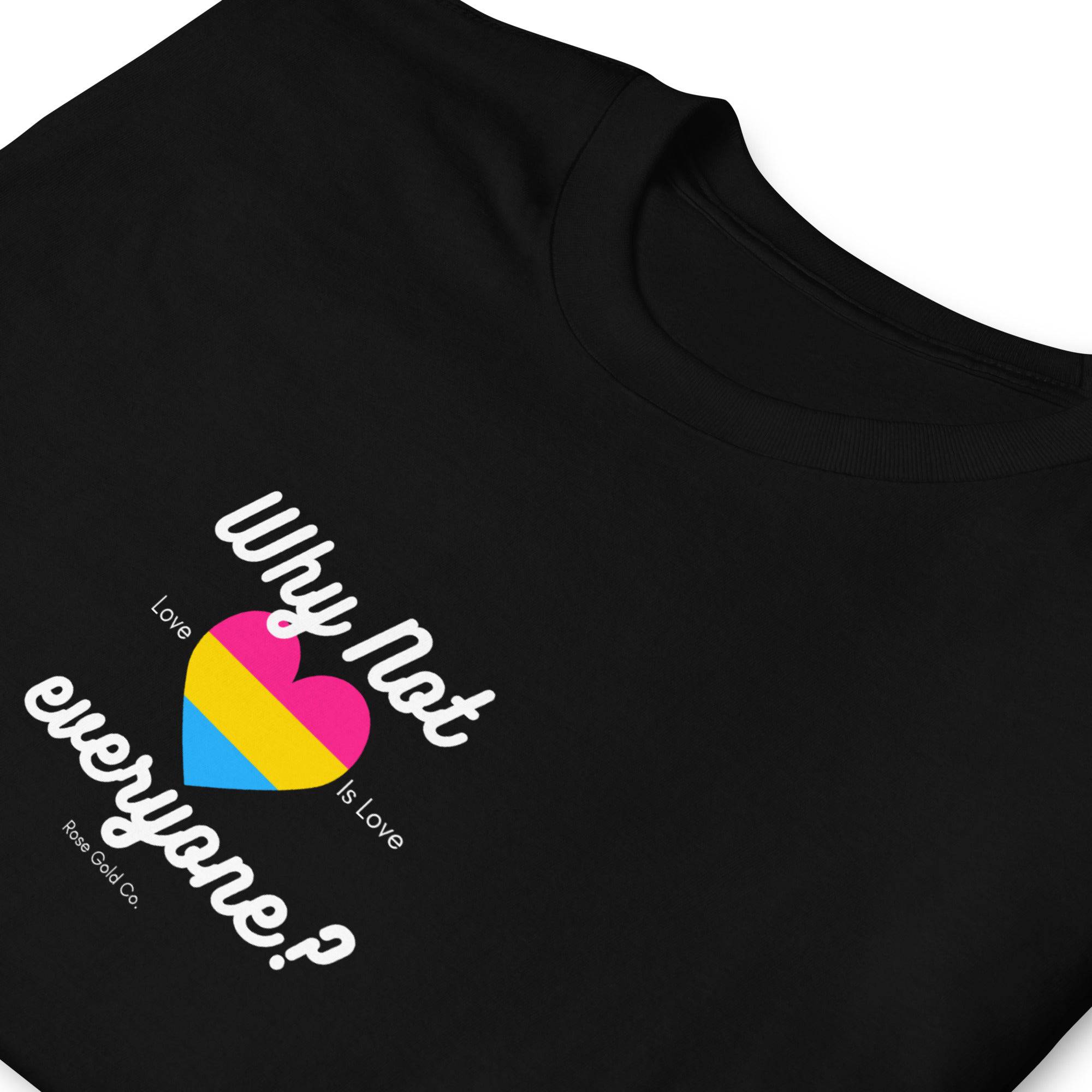 Why Not Everyone Pansexual Pride T-Shirt